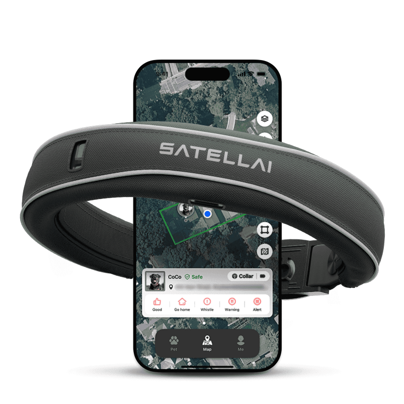 SATELLAI Wireless Fence GPS Dog Collar - AI Analysis Precise Positioning 5-Day Battery IP68 Waterproof Gray