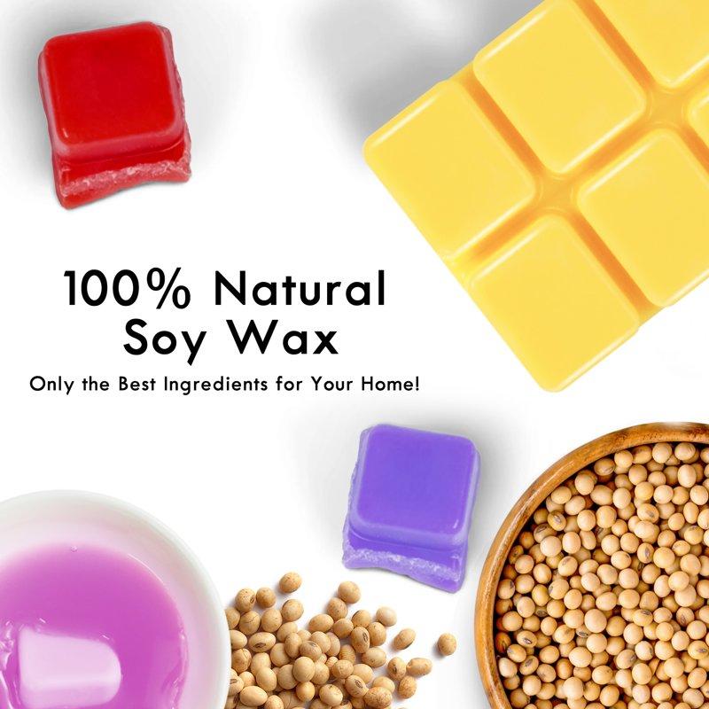 SCENTORINI Wax Melts Scented Wax Cubes For Warmers Sea Breeze Lavender Linen Winds In Summer Cherry Espresso Raspberry & Cinnamon Blush Peony 2.5 Oz(8 Pack)