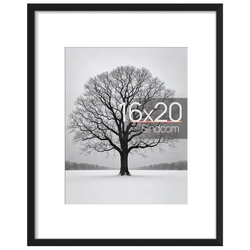 Sindcom 16x20 ABS Picture Frames Gallery Wall Poster Frames Set of 5 Black