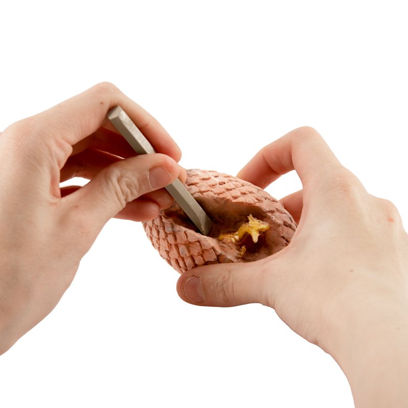 Thames & Kosmos I Dig It Dragons - Egg Excavation Science Kit Styles May Vary Unisex Children Ages 5+