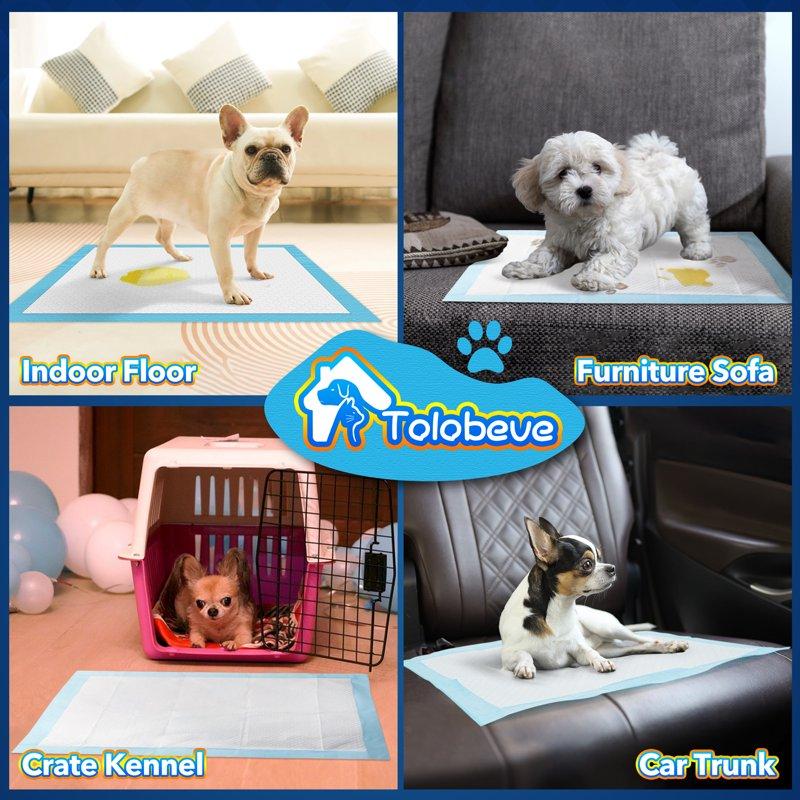 Tolobeve Senior Absorbent Training Pads Leak-Proof Disposable Pee Pads Small 13x18 In 66 Count