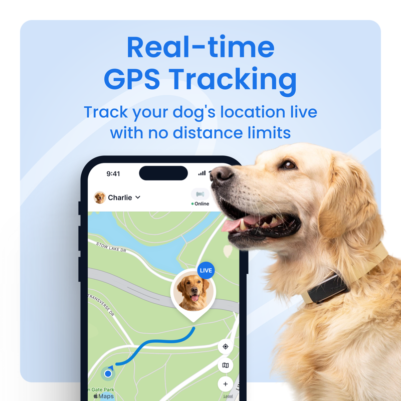 Tractive Smart GPS Dog Tracker With Vital Signs Monitoring (Black)