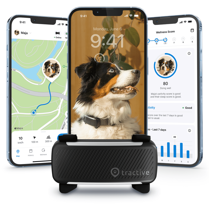 Tractive Smart GPS Dog Tracker with Vital Signs Monitoring (Black)