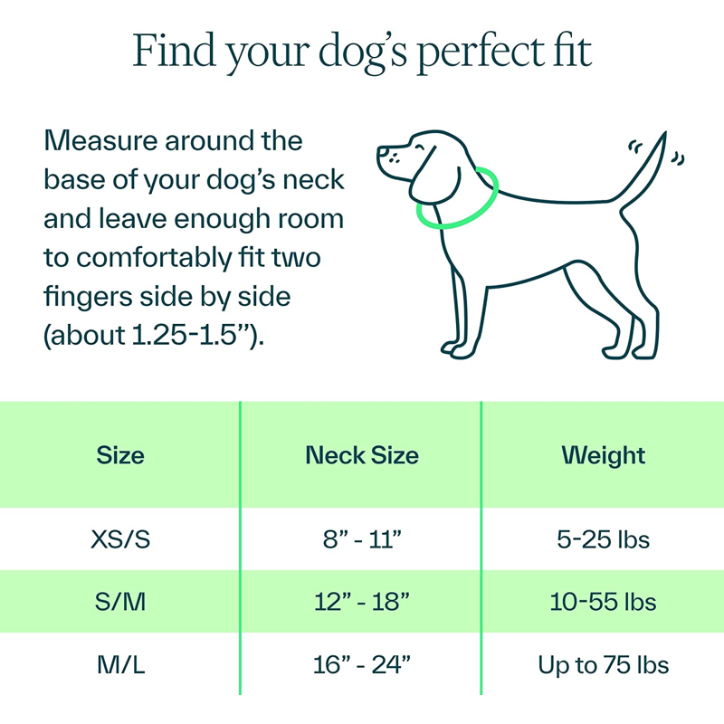 Whistle Switch Smart Collar Kit - GPS Location Health & Fitness - Waterproof GPS Pet Tracker With Interchangeable Batteries Shadow (Black) S/M