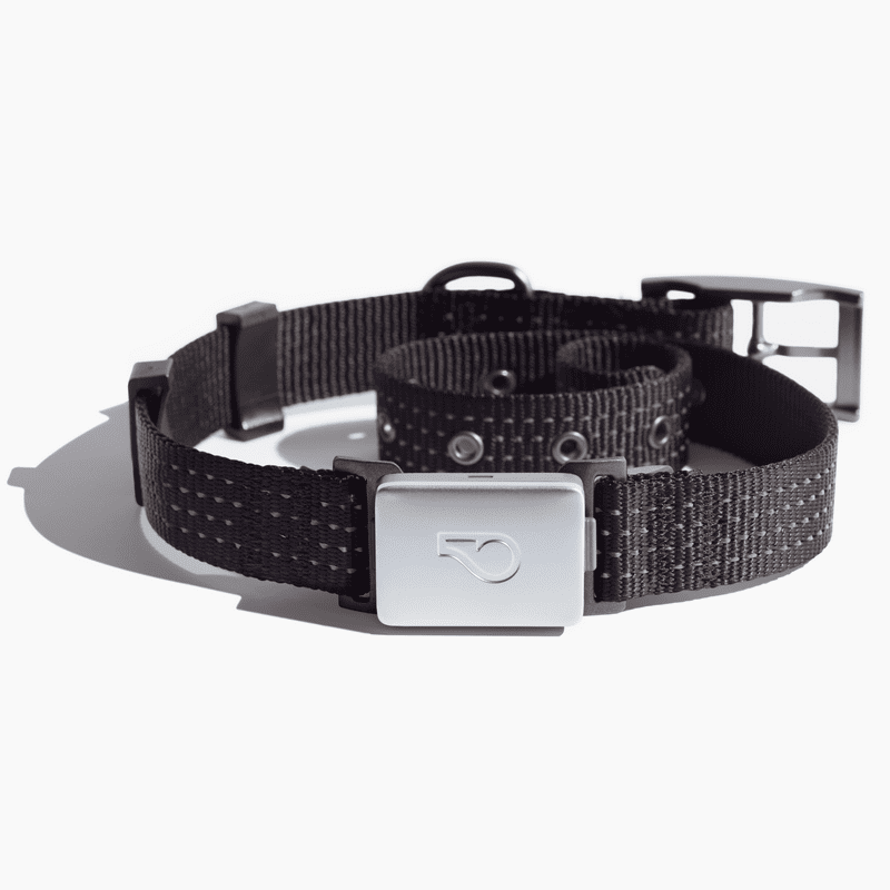 Whistle Switch Smart Collar Kit - GPS location Health & Fitness - Waterproof GPS Pet Tracker with interchangeable batteries Shadow (Black) S/M