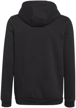 Adidas Unisex Kids Entrada 22 Sweat Hoodie Hooded Sweat (pack Of 1)