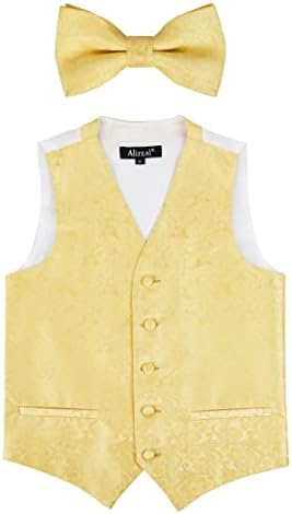 Alizeal Boys Classic Paisley Bow Tie And Suit Vest Set