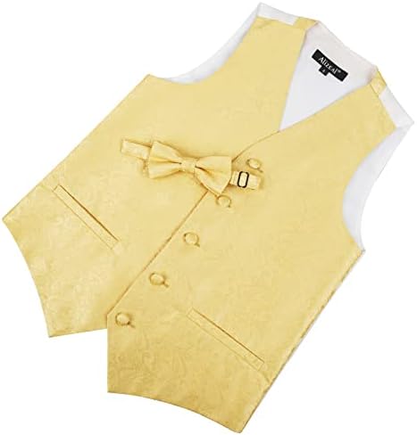 Alizeal Boys Classic Paisley Bow Tie And Suit Vest Set