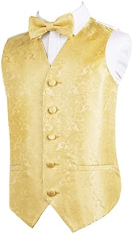 Alizeal Boys Classic Paisley Bow Tie And Suit Vest Set