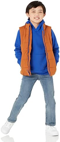Amazon Essentials Boys And Toddlers' Fleece Sweater Hoodie Sweatshirts