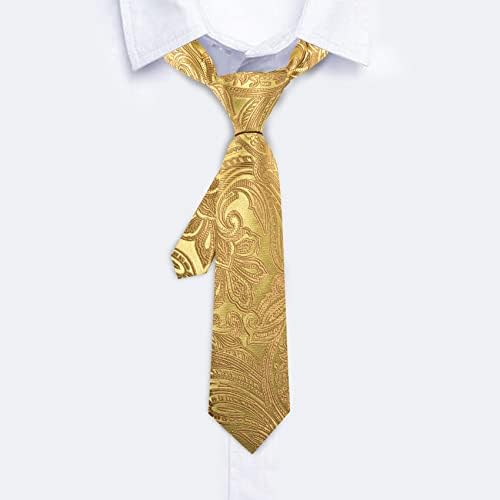 Barry.Wang Boys Tie Boys Silk Necktie Pocket Square Set Paisley Plaid For Prom Party Busines Ceremony