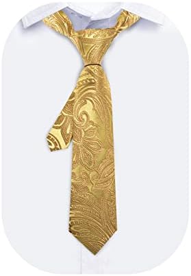 Barry.Wang Boys Tie Boys Silk Necktie Pocket square Set Paisley Plaid For Prom Party Busines Ceremony