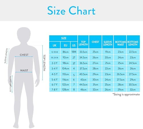 Disney Cars Boys Lightning McQueen Two Piece Swim Set Ages 18 Months To 7 Years