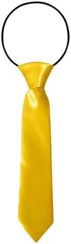 FATASH Kids Pre-Tied Neck Ties With Loop Elastic Clip-On Skinny Tie Solid Color Satin Silk Neckties for Toddlers Boys Suitable for Birthday Party Wedding