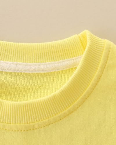 Girls Sweatshirt For Kids Cotton Top Casual Jumper Girl T Shirt Toddler Clothes Long Sleeve Pullover Age 1-12 Years