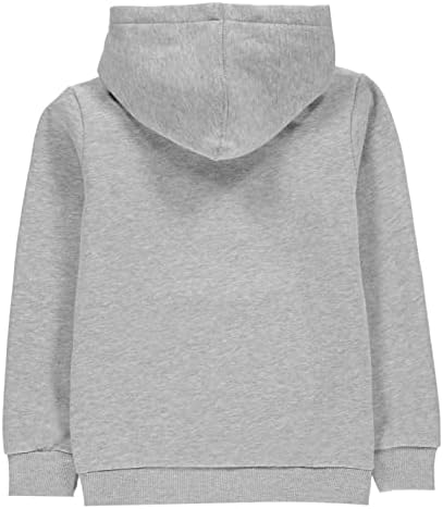 Levi's Boy's Lvb Batwing Screenprint Hoodie Sweatshirt