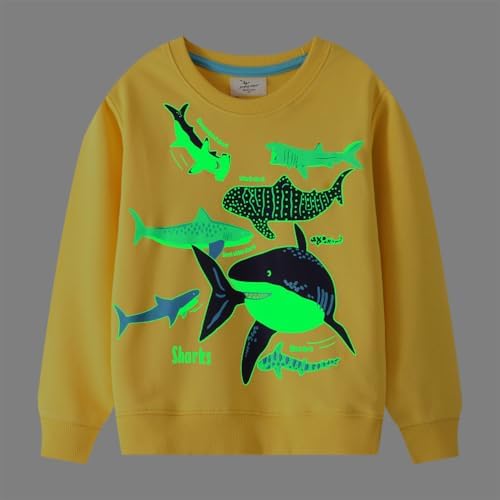 LitBud Boys Sweatshirts Shark Crewneck Pullover For Toddler Clothes Boy Cotton Top Long Sleeve Casual Jumper T Shirt Fall For Kids Size 1-7 Years Old
