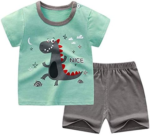 NautySaurs Toddler Boys Short Sleeve T-Shirts And Shorts Set Dinosaur Tee Shirts Short Pyjamas For Age 1-6 Years