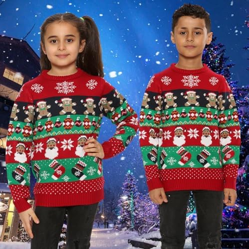 NOROZE Boys Christmas Jumper 3D Kids Bird Reindeer Retro Unisex Xmas Santa Snowman Penguin Pullover Sweater Christmas Sweater Girls UK Sizes 3-13 Years
