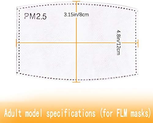 Activated Carbon 5-Layer PM 2.5 Filter Replacement Of The Mask Filter In A Protective Cover (30pcs-Adult-Size)