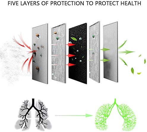 Activated Carbon 5-Layer PM 2.5 Filter Replacement Of The Mask Filter In A Protective Cover (30pcs-Adult-Size)