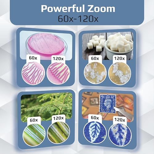 Carson MicroBrite Plus 60x-120x LED Lighted Pocket Microscope For Kids Portable Handheld Microscope For Adults Mini Microscope For Student Science Lab STEM Educational Portable Microscope (MM-300)