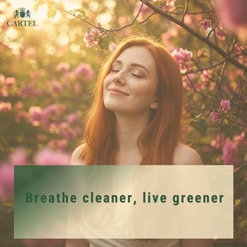 Cartel Slim Cotton Filter Tips 6mm X 22mm – 1000+ Filters With Resealable Bag – Includes 70x36mm Rolling Paper – Eco-Friendly Long Filter Tips – Eu Made