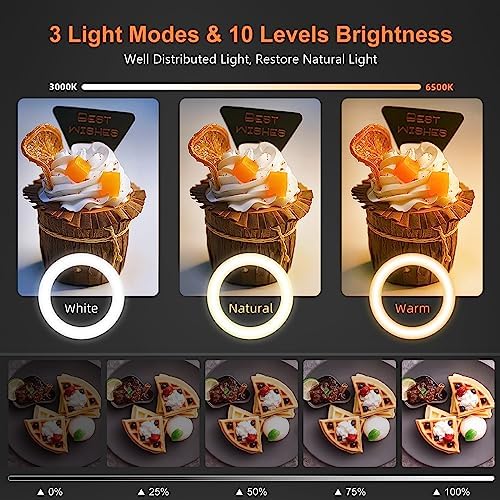 Evershop Ring Light With Stand And Phone Holder 10" Desk Ring Light For Phone Flexible Overhead Phone Camera Mount Tripod With Remote Light For Video Recording/Live Streaming/Cooking/Makeup/Tiktok