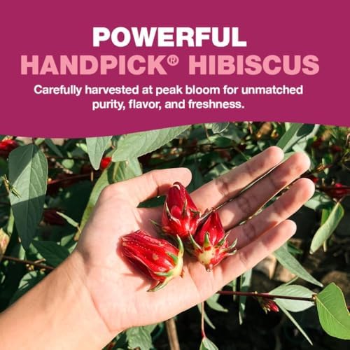 HANDPICK Hibiscus Tea Bags - 100 Count Caffeine-Free Pure Ingredients - Hibiscus Flowers Brew Hot Iced Tea Or Kombucha Tea Round Nutritious Herbal Tea Bags