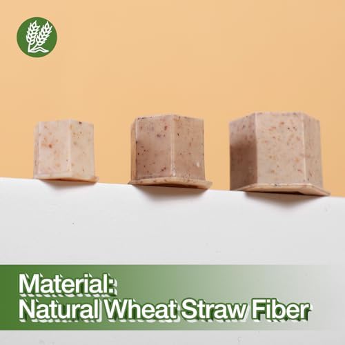 INKin Biodegradable Tattoo Ink Cups Medium 12mm - 200Pcs Disposable ECO Friendly Caps With Base For Hold Ink Pigments Supplies (12mm-Medium)