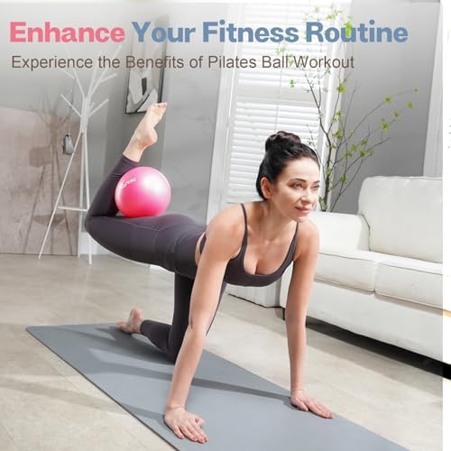 Kisnbld Small Exercise Ball 9 Inch Mini Pilates Ball Anti Burst And Slip Resistant Mini Yoga Ball For Stability Fitness Physical Therapy Stretching & Core Strength Workout At Home Gym & Office
