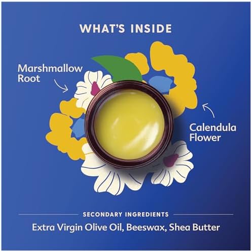 Motherlove Nipple Cream (29.5 ML) Organic Lanolin-Free Herbal Ointment For Breastfeeding—Soothe Nursing Nipples & Use As A Pump Lubricant—No Need To Remove Prior To Pumping Or Nursing—Non-GMO Cruelty-Free