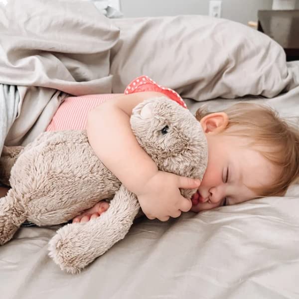 Personalized Embroidered Plush Bunny Custom Plush Toy Child'S First Easter Gift With Child'S Name Bashful Bunny Stuffed Animal (Style 1)