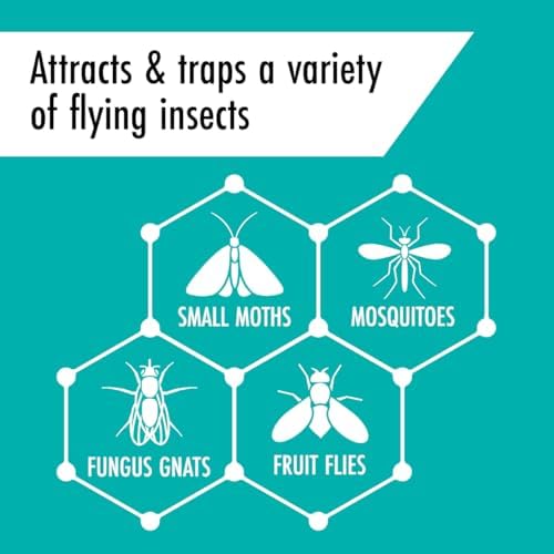 STEM™ Flying Insect Light Trap Indoor Fruit Fly Trap Effective Insect Control For Home Attracts And Traps Flying Insects Starter Kit With 2 Plug-in Devices And 2 Cartridges