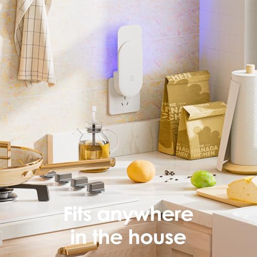 TIENBE Flying Insect Trap 2 In 1 Indoor Plug-in Fruit Fly Trap 2 Trap White And 12 Glue Cards Fruit Fly Traps For Gnat Moth Mosquito Suitable For Every Part Of The Home