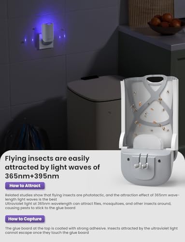 YISSVIC Flying Insect Trap Indoor Plug-in Fruit Fly Trap For Gnat Moth Mosquito Bug Zapper Trap Indoor Kitchen Home