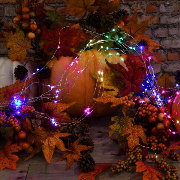 LUMABASE 100-Light LED Battery Operated Multi-Color Multi-Strand Fairy String Lights (Set Of 2)