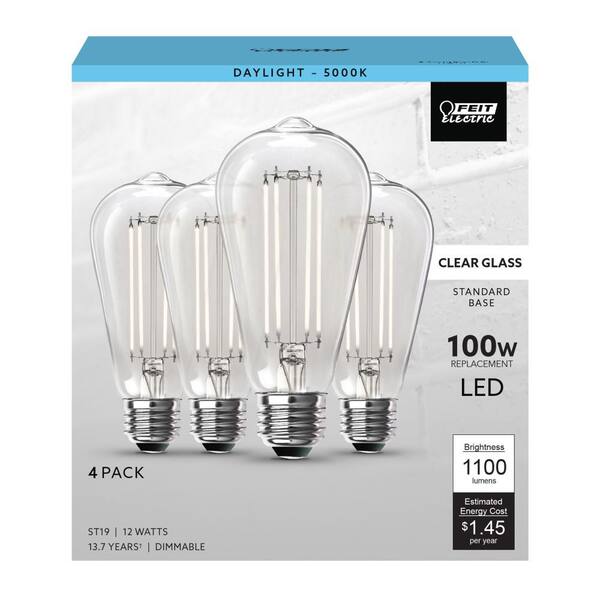 Feit Electric 100-Watt Equivalent ST19 Dimmable Straight Filament Clear Glass E26 Vintage Edison LED Light Bulb Daylight (4-Pack)