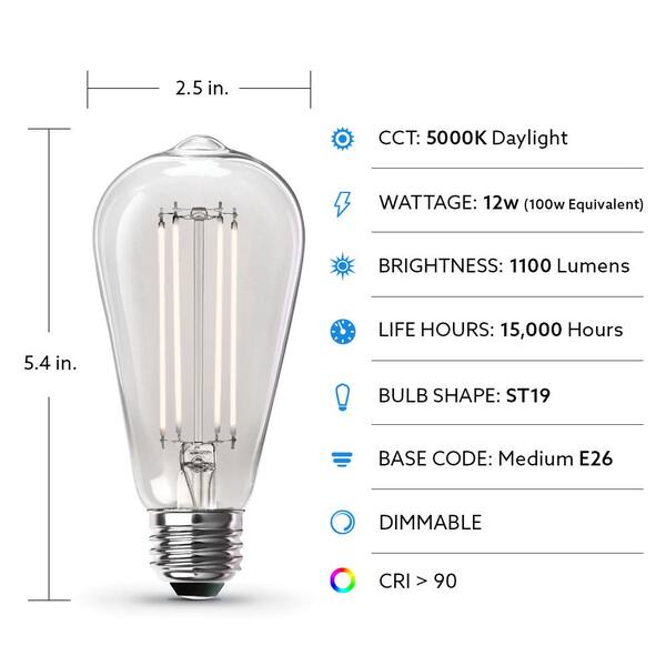 Feit Electric 100-Watt Equivalent ST19 Dimmable Straight Filament Clear Glass E26 Vintage Edison LED Light Bulb Daylight (4-Pack)