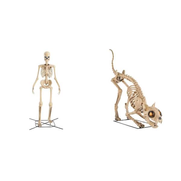 Home Accents Holiday 12 ft. Grave & Bones Giant Skelly with LifeEyes™ and 5 ft. LED Skelly's Cat Combo