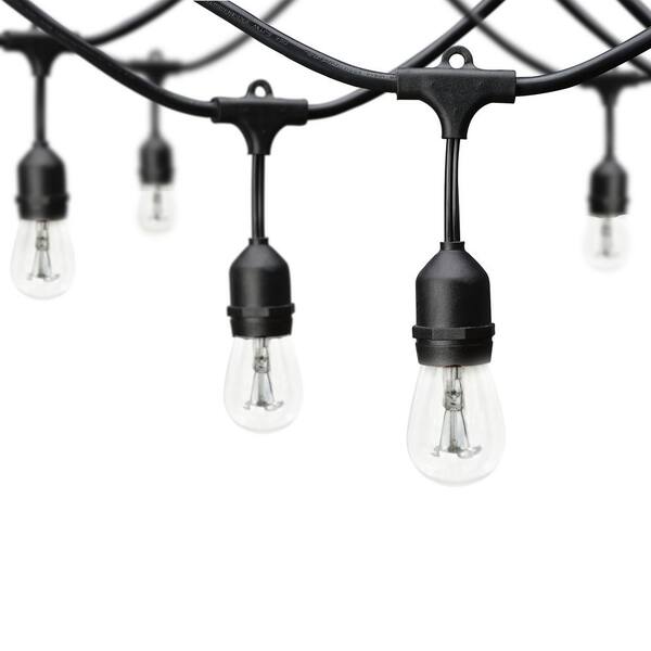 Hampton Bay 12-Light 24 Ft. Indoor/Outdoor Plug-In Incandescent Edison Bulb String Light