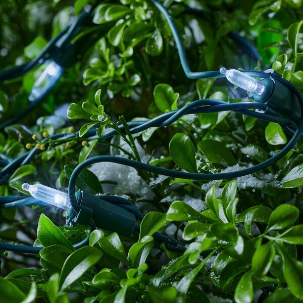 Home Accents Holiday 150 Count Cool White Steady Lit Mini LED Net Lights