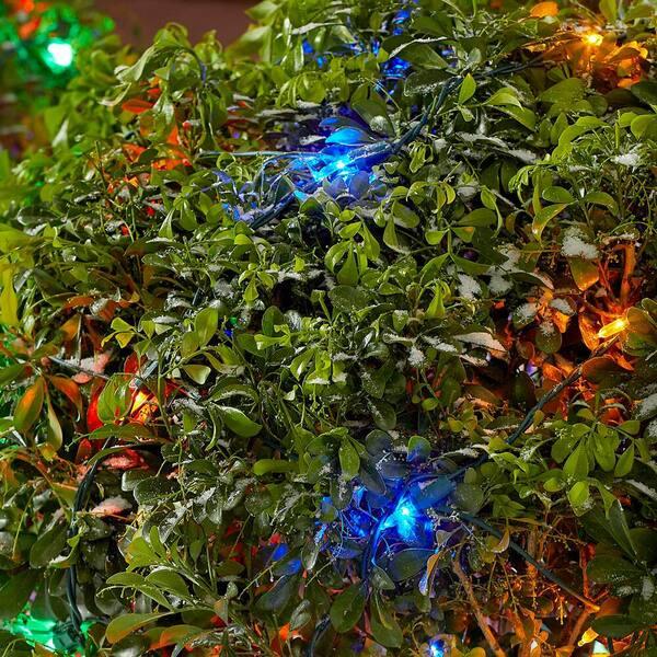 Home Accents Holiday 150 Count Multi-Colored Mini LED Net Lights