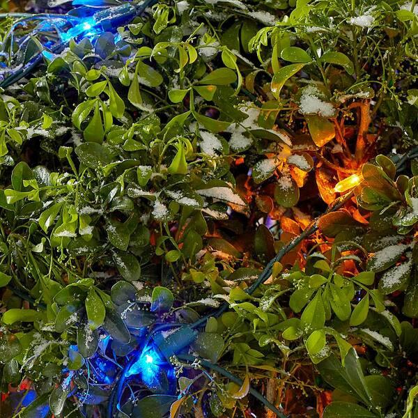 Home Accents Holiday 150 Count Multi-Colored Mini LED Net Lights