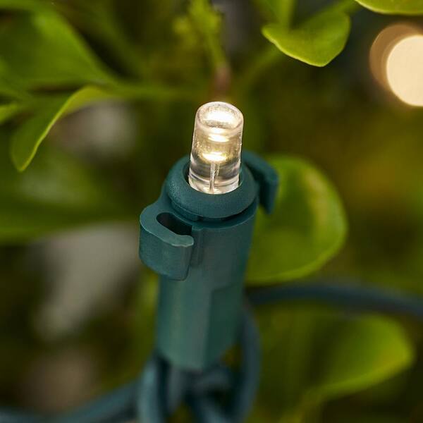 Home Accents Holiday 150 Count Red/Warm White Ribbon Concave LED Net Lights