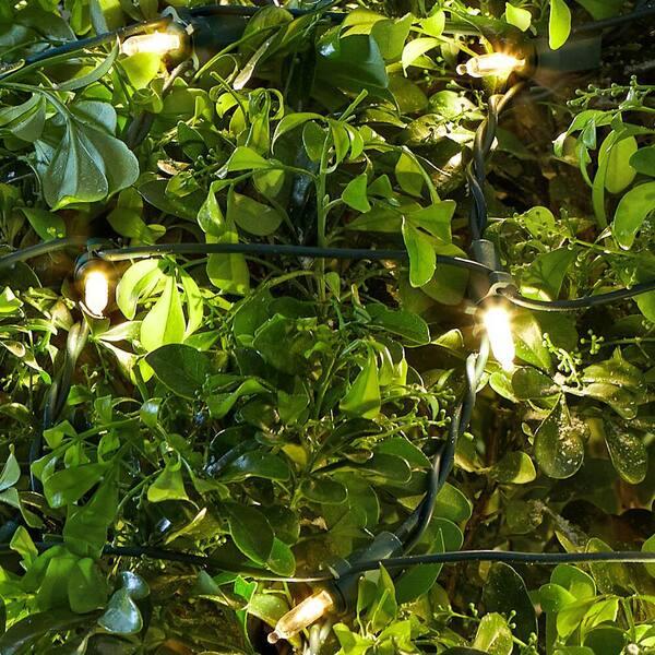 Home Accents Holiday 150 Count Warm White Steady Lit Mini LED Net Lights