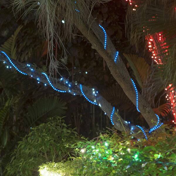 Wintergreen Lighting 150 Ft. 1800-Light LED Blue Rope Light Kit