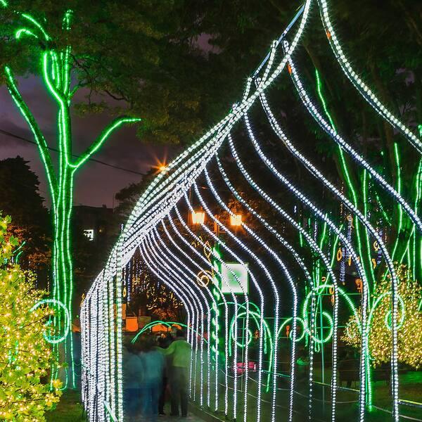 150 Ft. 1800-Light LED Cool White Rope Light Kit