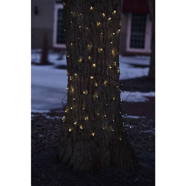Northlight 2 Ft. X 8 Ft. Clear Mini Net Style Tree Trunk Wrap Christmas Lights With Brown Wire