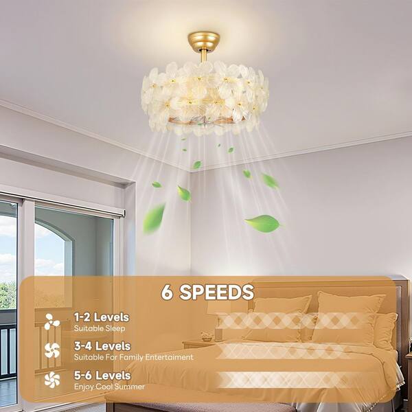 ARISKEEN 22 In. Indoor Gold Glass Flower Ceiling Fan With Light Caged Fandelier With Remote Control 6-Speeds For Bedroom